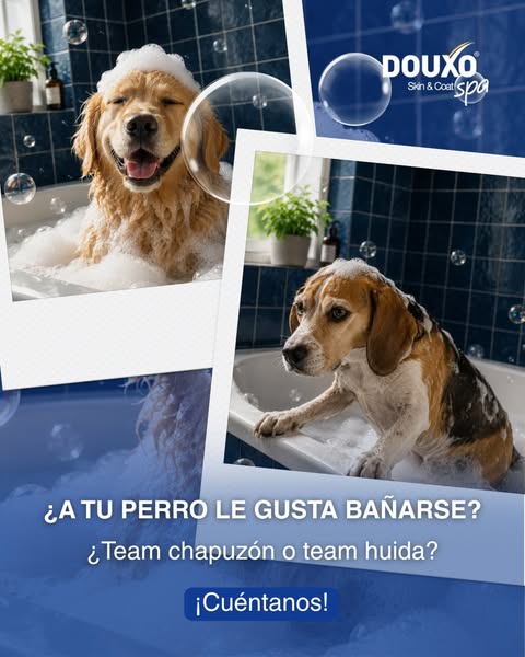 DOUXO S3 CALM - For itchy, irritated and sensitive skins - Dogs & Cats