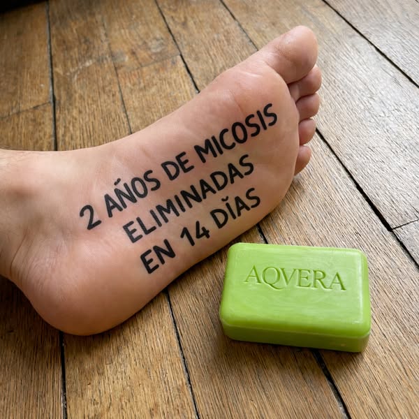 La progresión, día a día