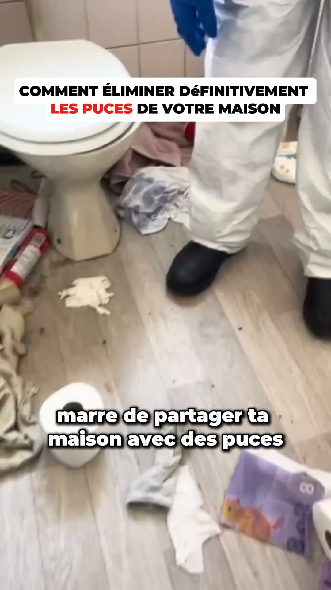 Dites enfin adieu aux punaises de lit