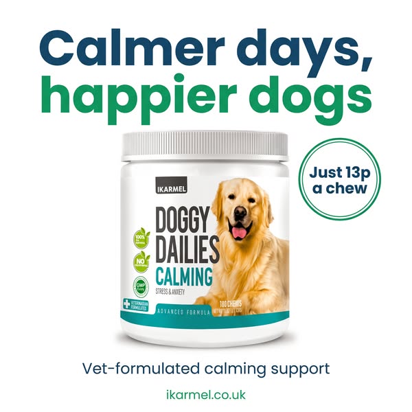 Calmer Days, Happier Dogs