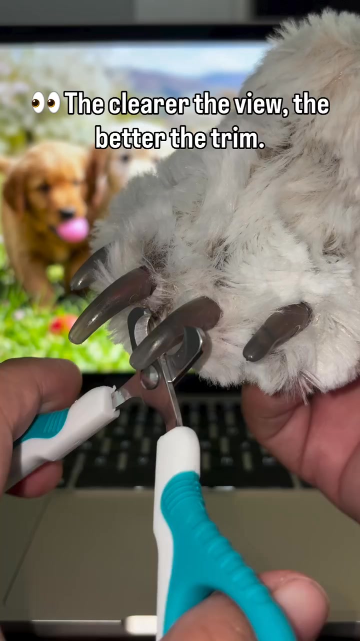 Anúncio de Panther-Products