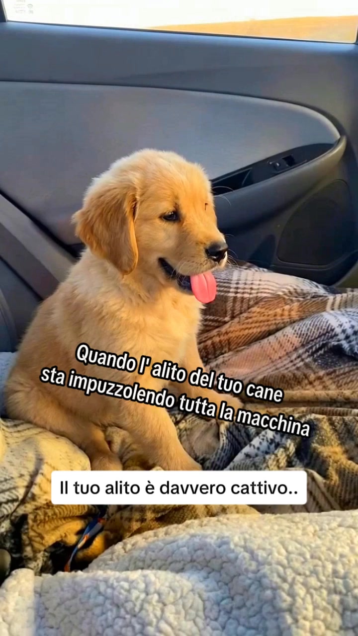 Elimina alito cattivo e denti gialli