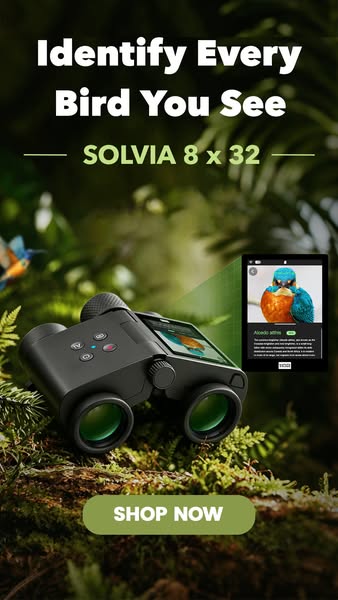 Unlock the Wild with AI Binoculars