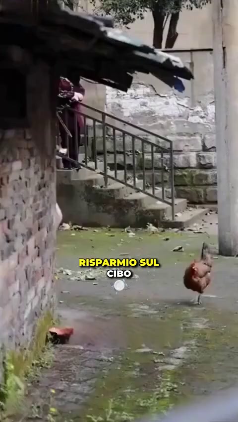 Ultimi Pezzi | Grande Saldo