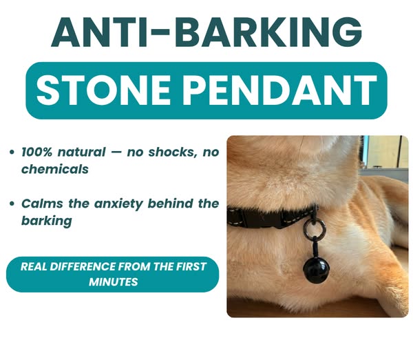 Is the Barking Really the Problem?