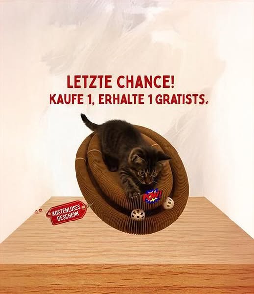 1+1 Neukunden Angebot