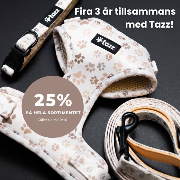 25% på allt – t.o.m. 10/10