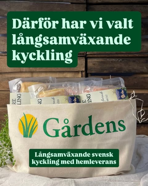 Långsamväxande kyckling