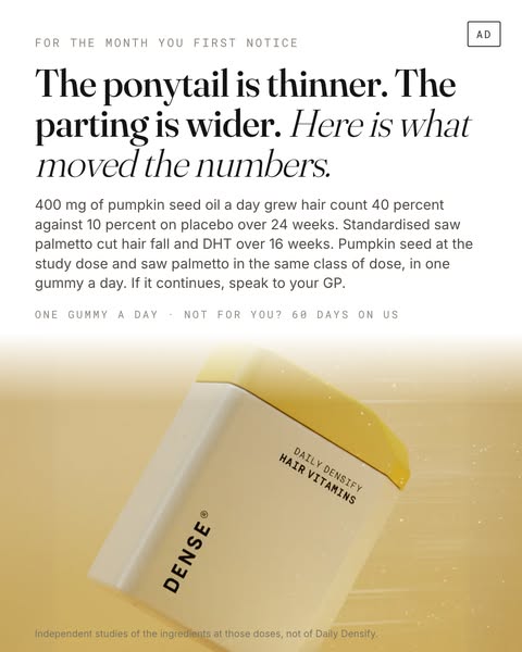 Here is what moved the numbers.