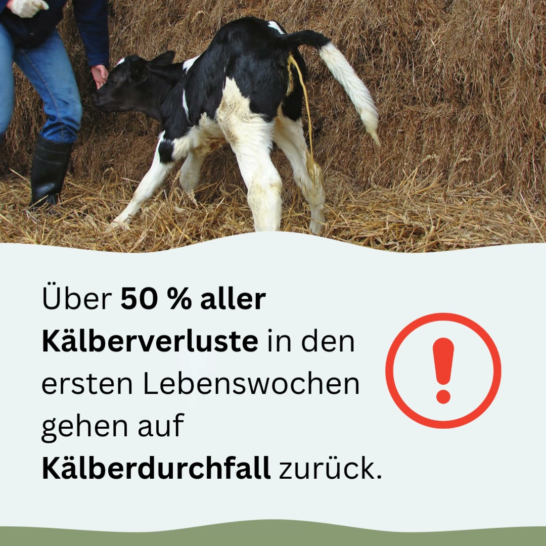 Elektrolyte bei Kälberdurchfall