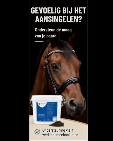 Ondersteun van binnenuit