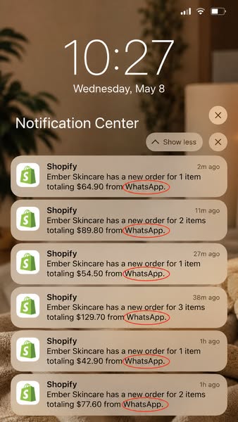 WhatsApp Ads — Done For You, 12-14X ROAS