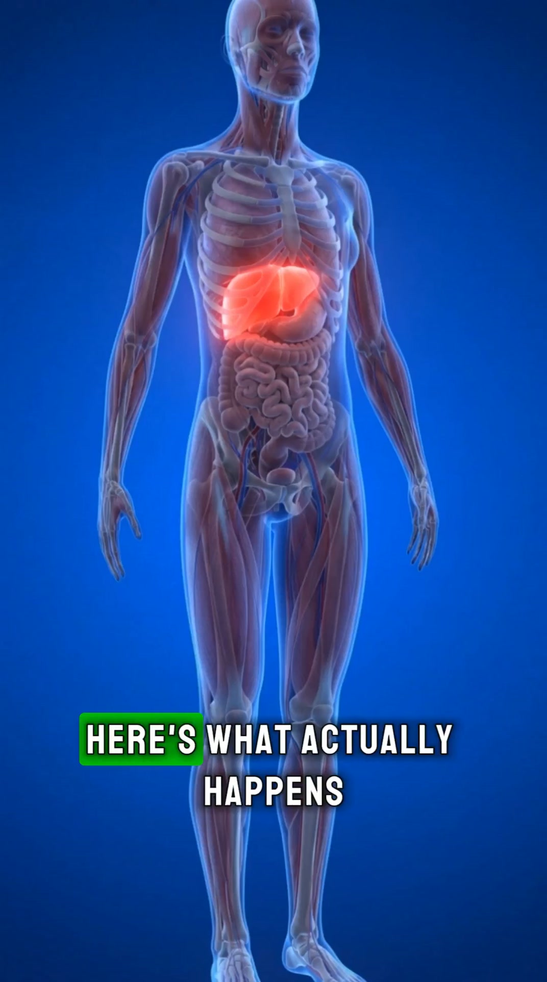 Give your liver what it needs.