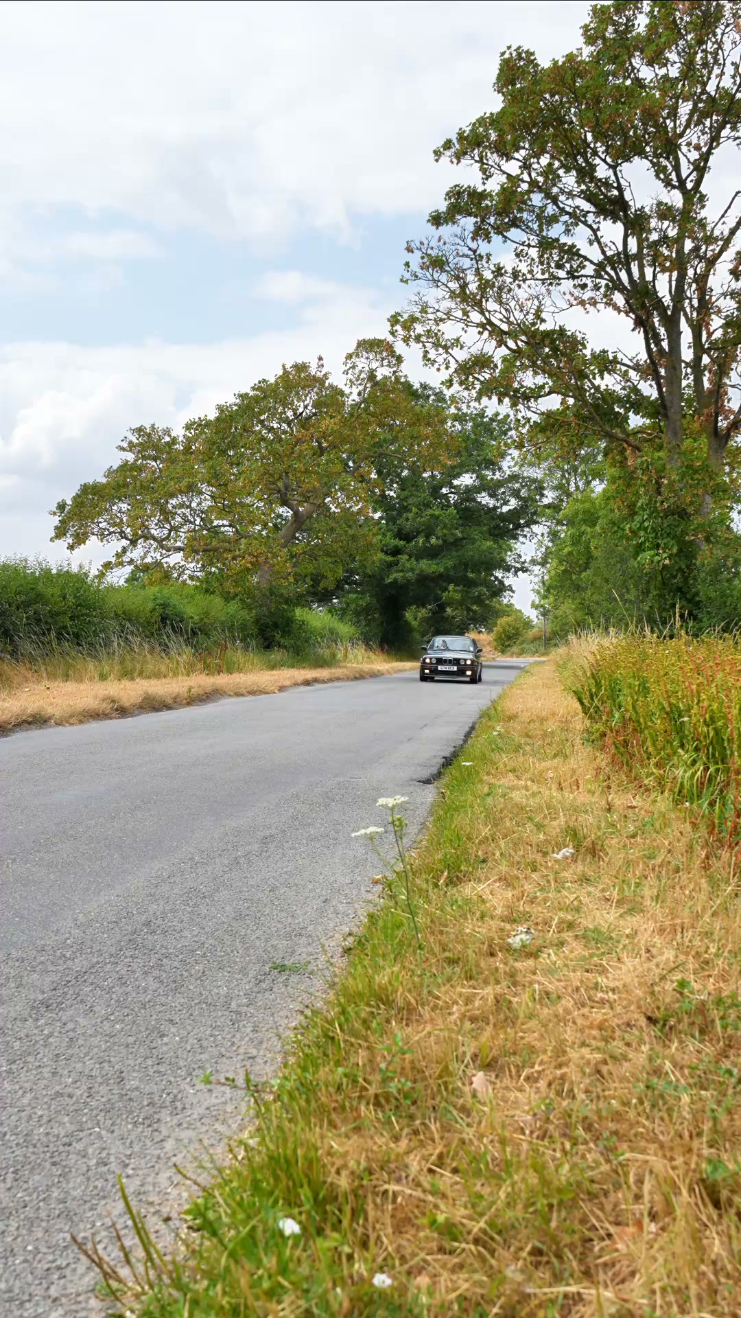 Don't Miss Out — Drawn Tonight