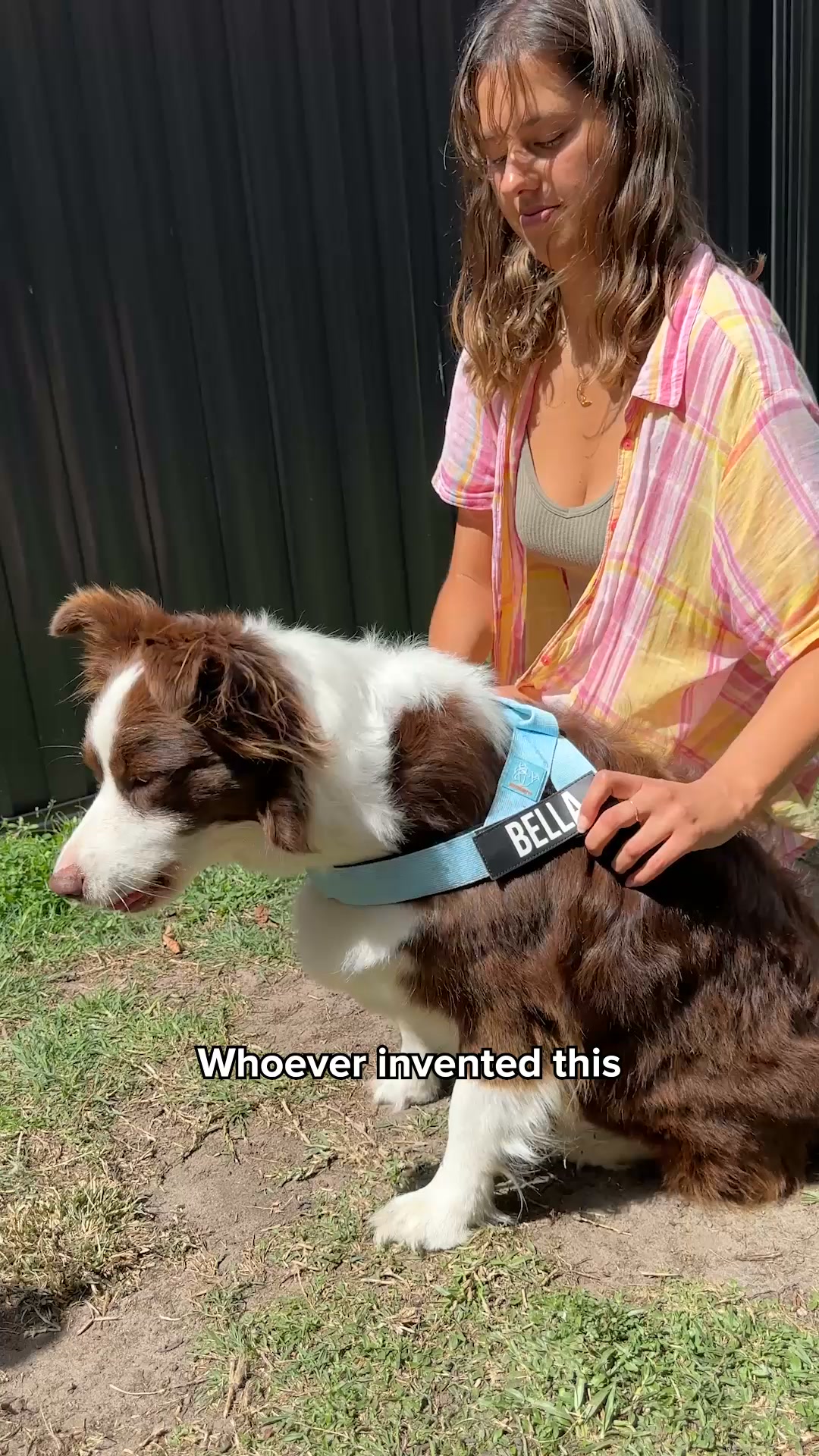 Rated #1 By Dog Owners