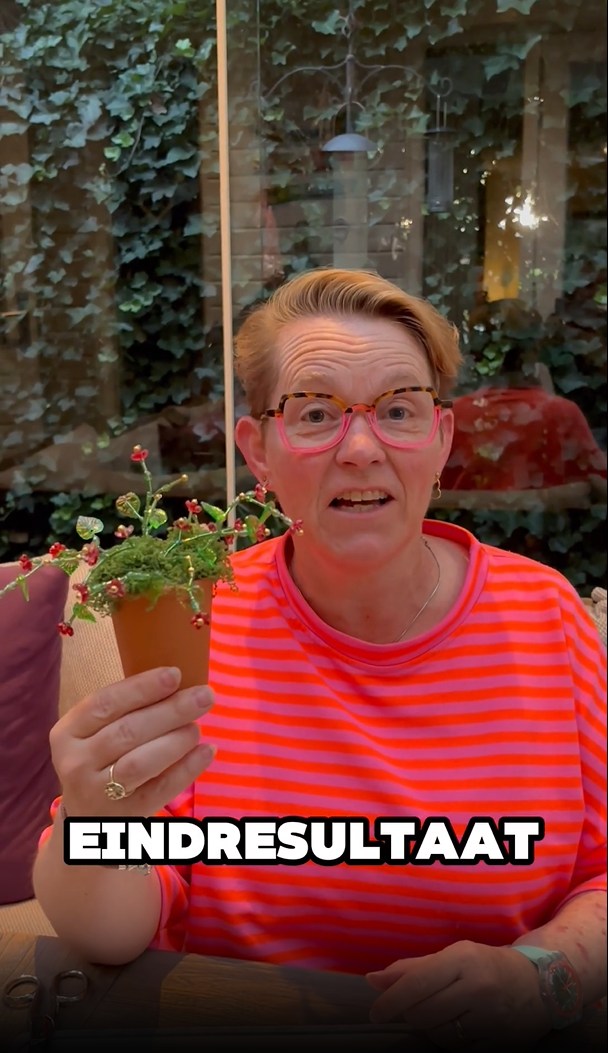 Maak je eigen kralenplant