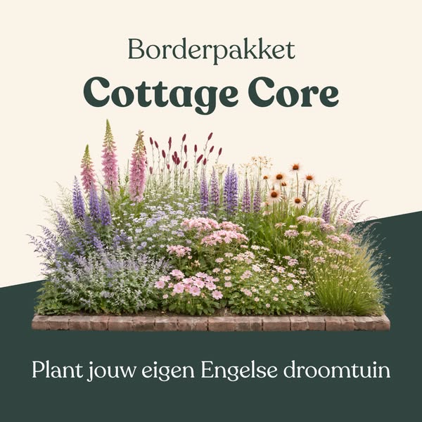 Klaar om te planten