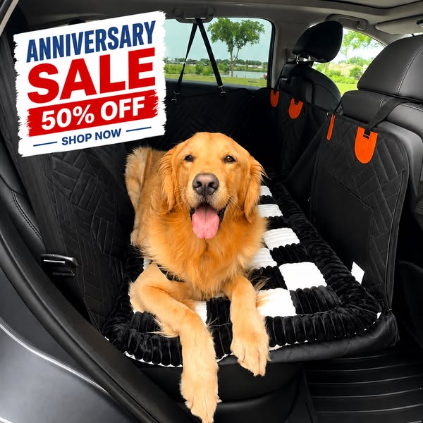 The Clean-Car Upgrade Every Dog Owner Needs