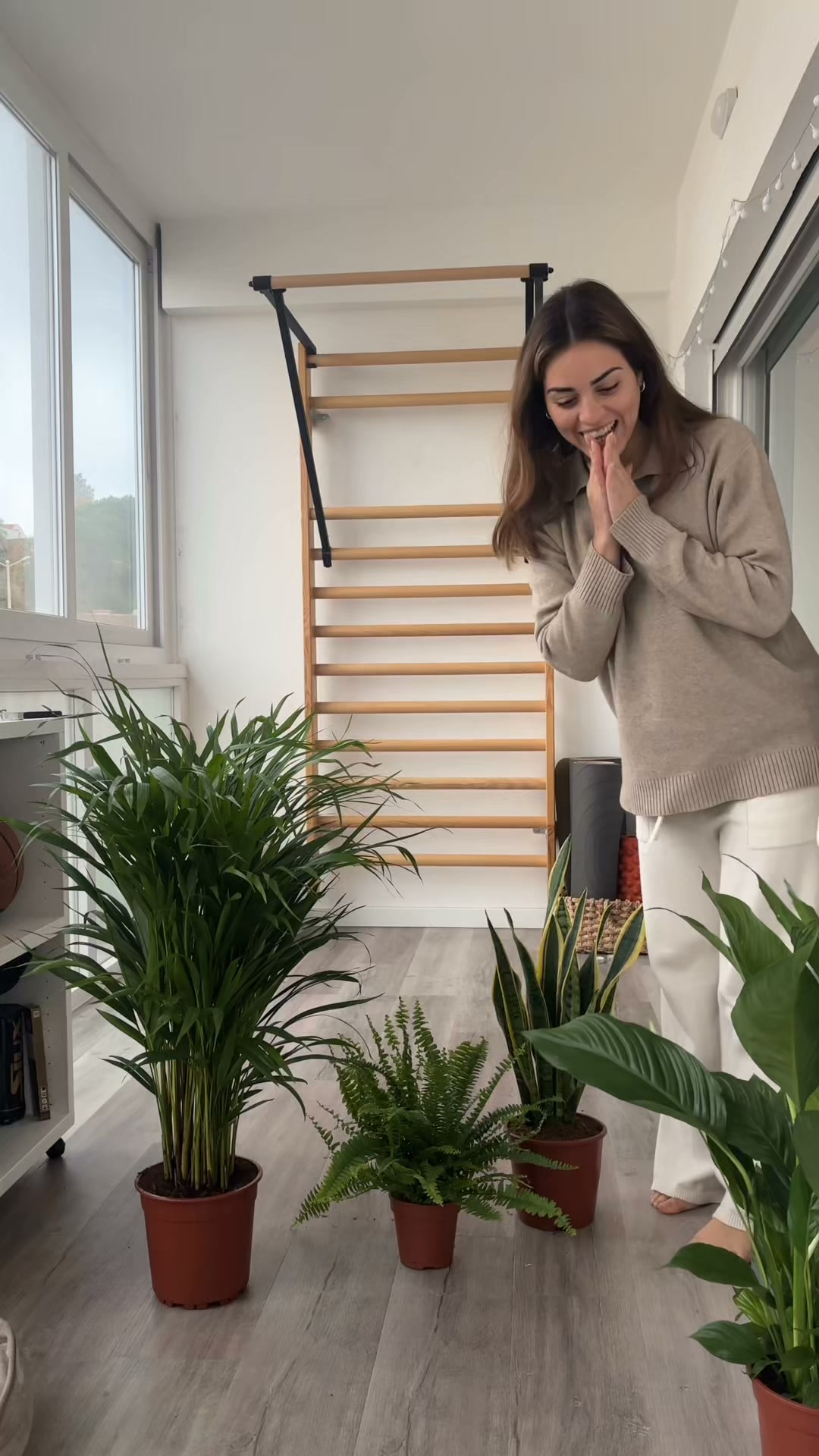 Plantas de Interior