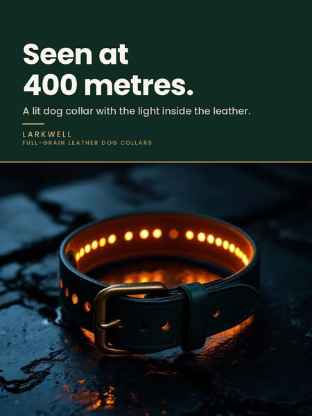Seen at 400m. Still looks like leather.
