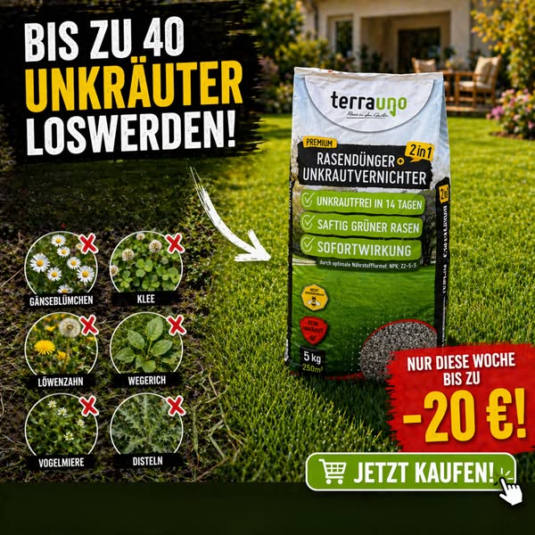 Unkrautprobleme Im Rasen?