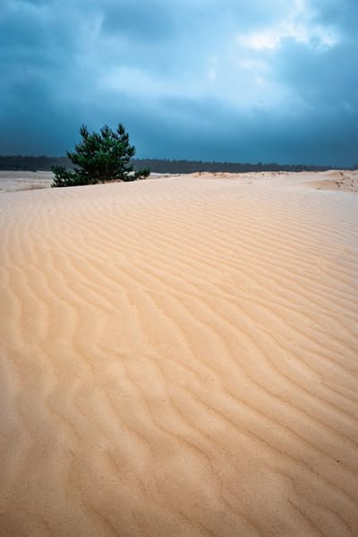 Mooiere landschapsfoto's maken