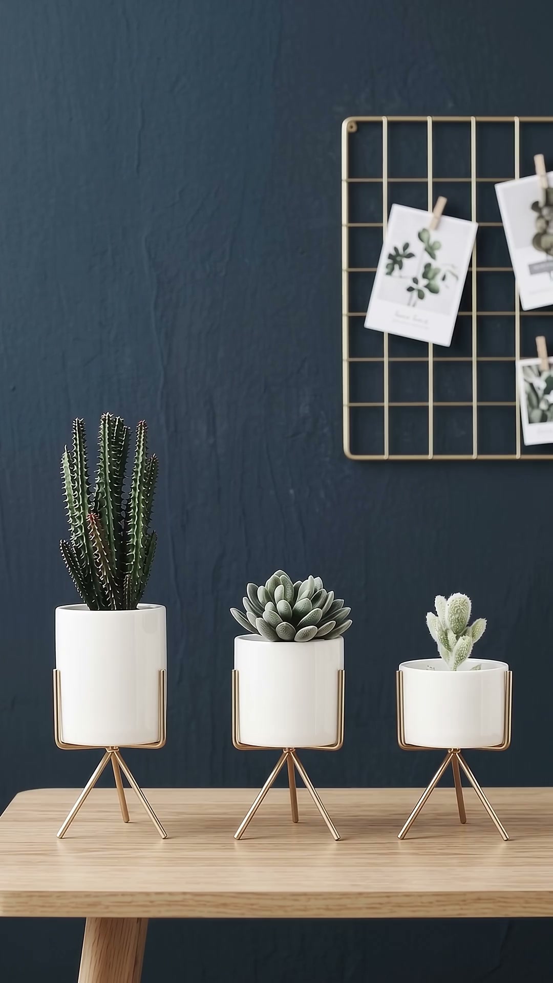 Give Your Favourite Plants a Stylish New Home