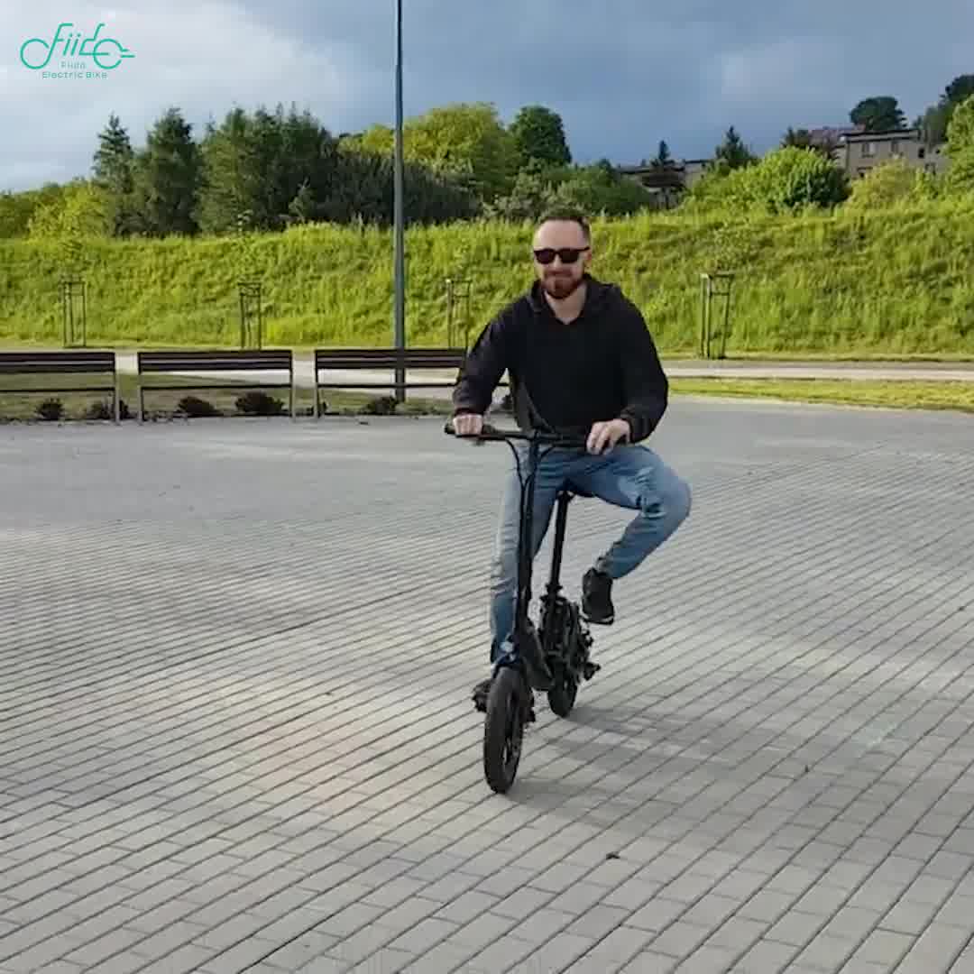 Fiido D3 Pro E-bike