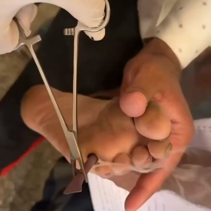 Pagamento no ato da entrega Ingredientes 100% naturais Autenticidade garantida Entrega rápida em todo o território de Portugal