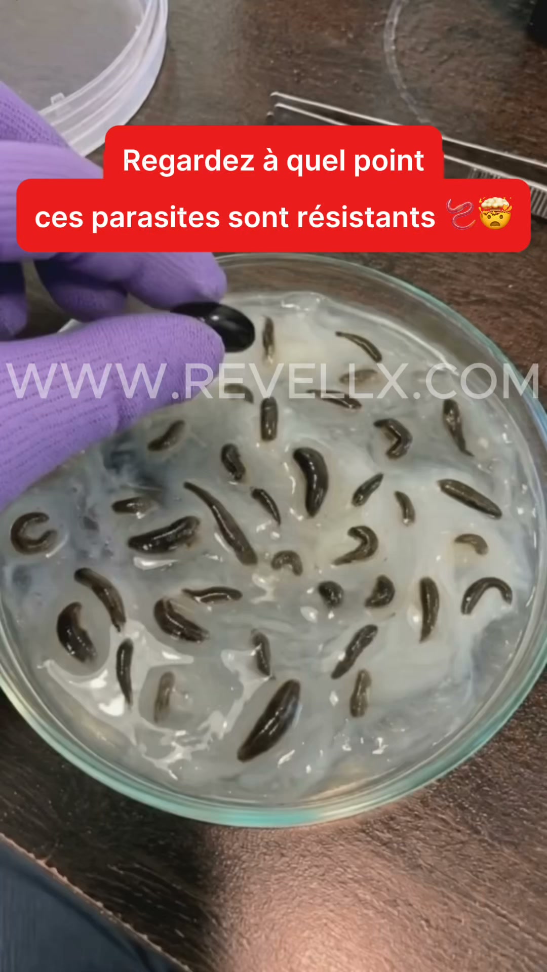 La cure détox 5 fois plus puissante dont votre corps avait besoin