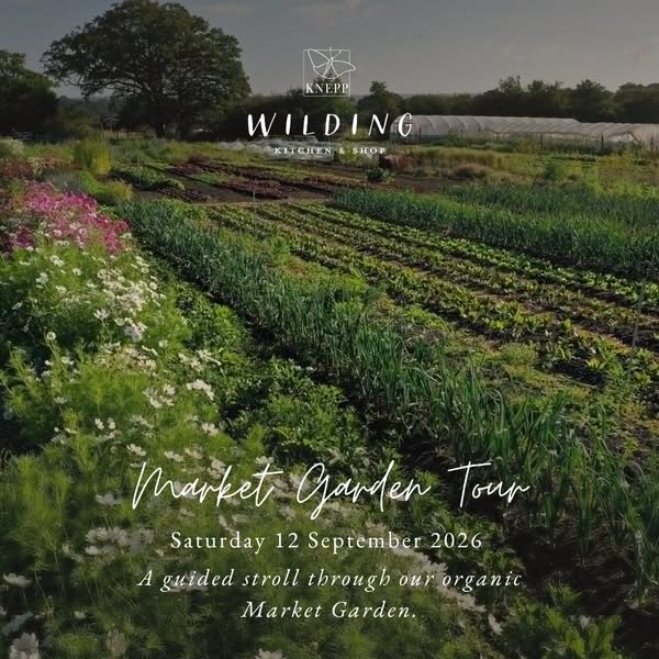 Market Garden Tours