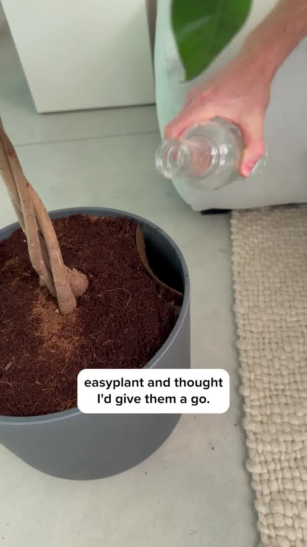 These are NO ordinary plants!