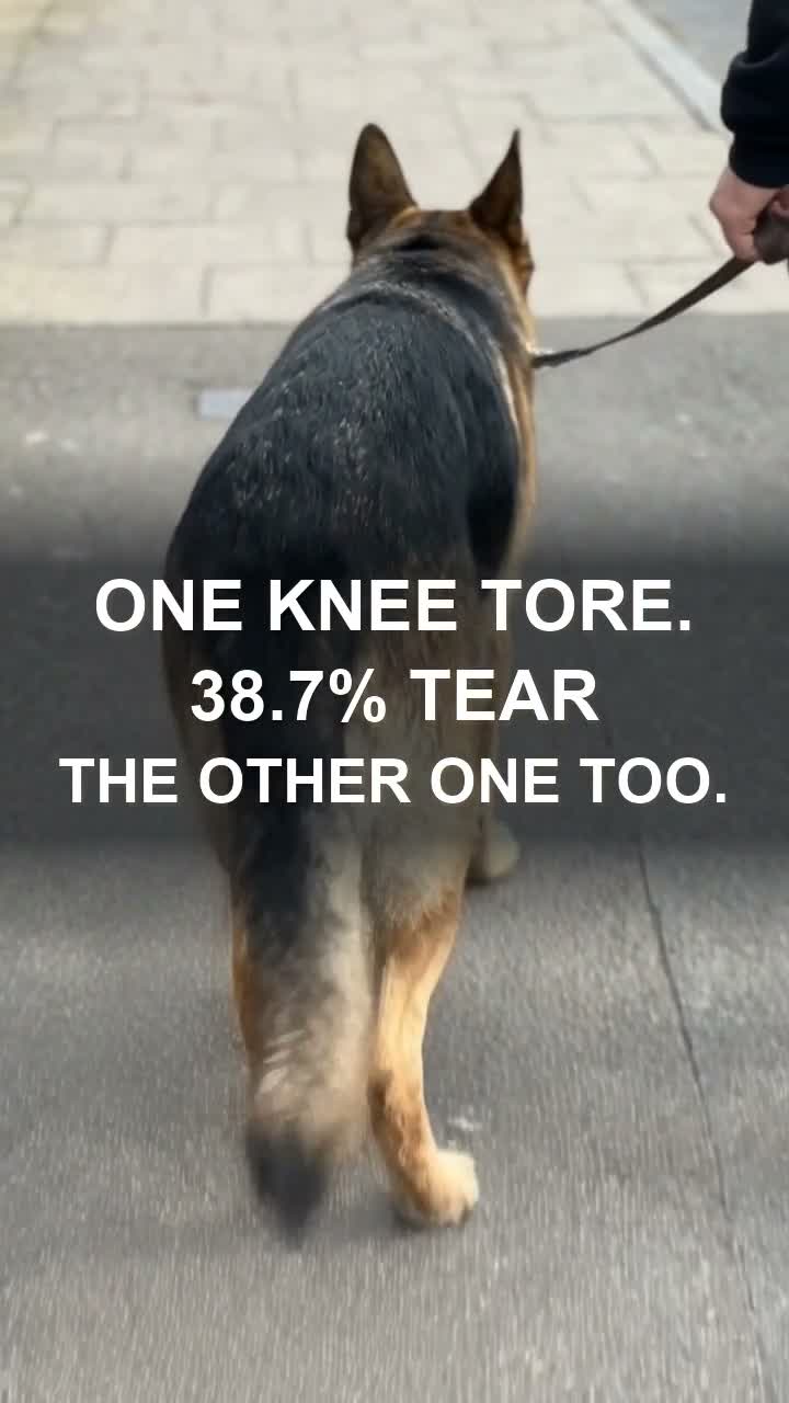 The Knee Nobody Operates On