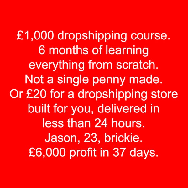 We'll Build Your Shopify Store For Only £20!