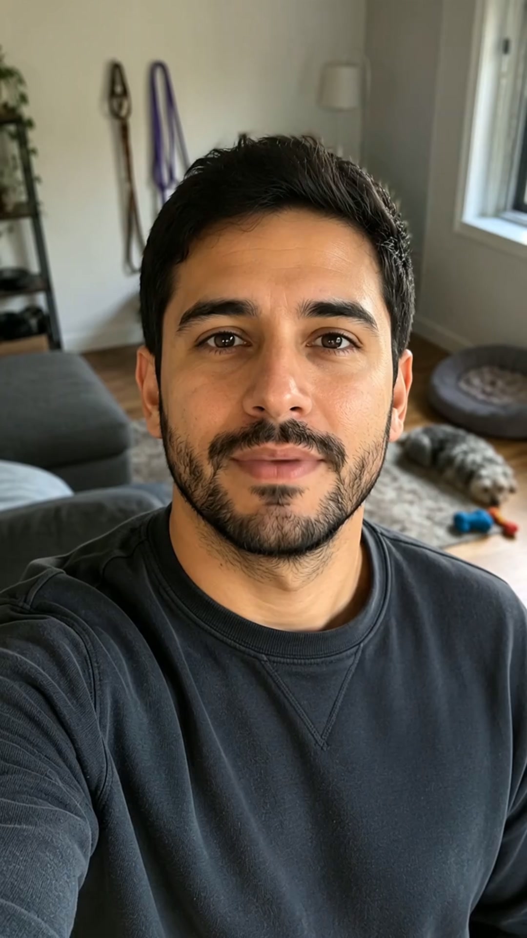 En Peludos, la salud de tu perro está en buenas manos