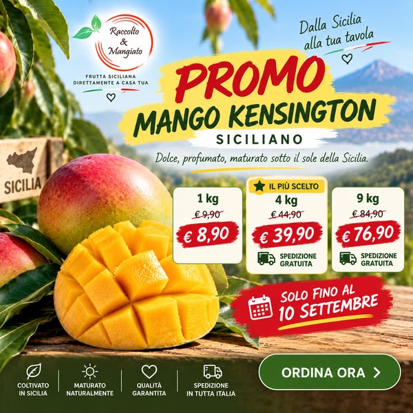 Promo Mango Kensington Siciliano