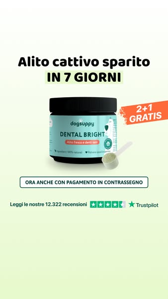 Risultati veri. Paghi solo quando arriva