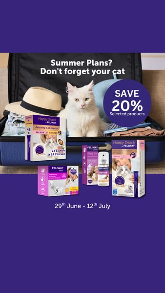 Relax your cat in the heat