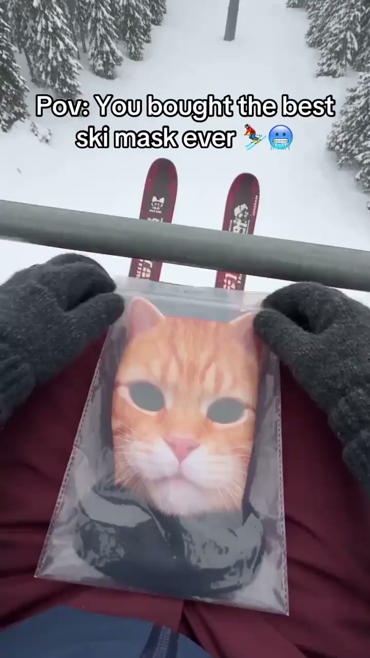 3D Cat Ski Balaclava – Eye-Catching Animal Face Mask for Outdoor Fun!