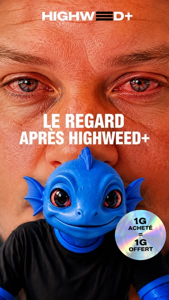 Tout doit disparaître
