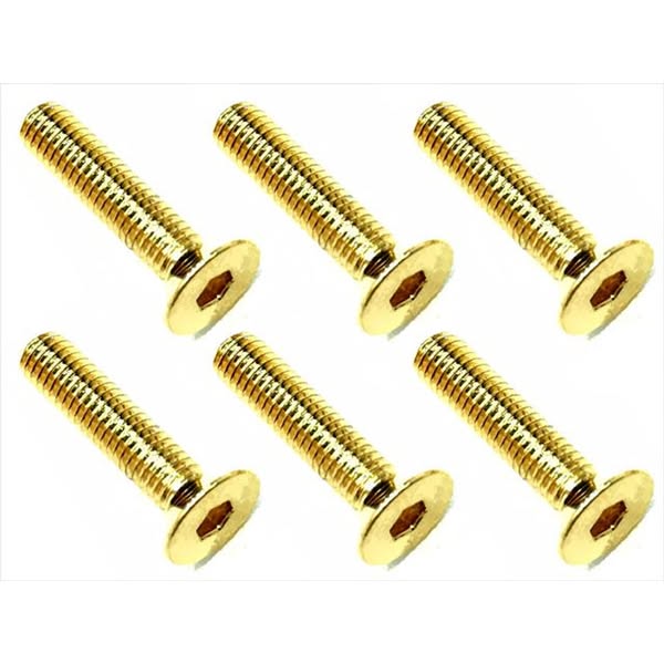 Square SSR-314G 3×14 Stainless steel hex Flat Head Screw (6 pcs.) 24K g