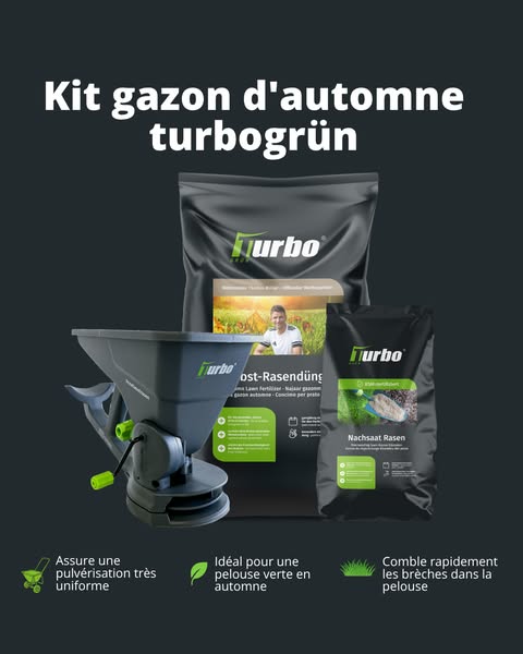 Sauver son gazon après l'été