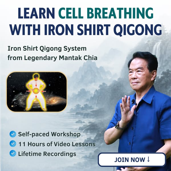 Complete Iron Shirt Qigong course
