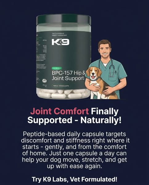 Start Your Dogs BPC-157 Journey