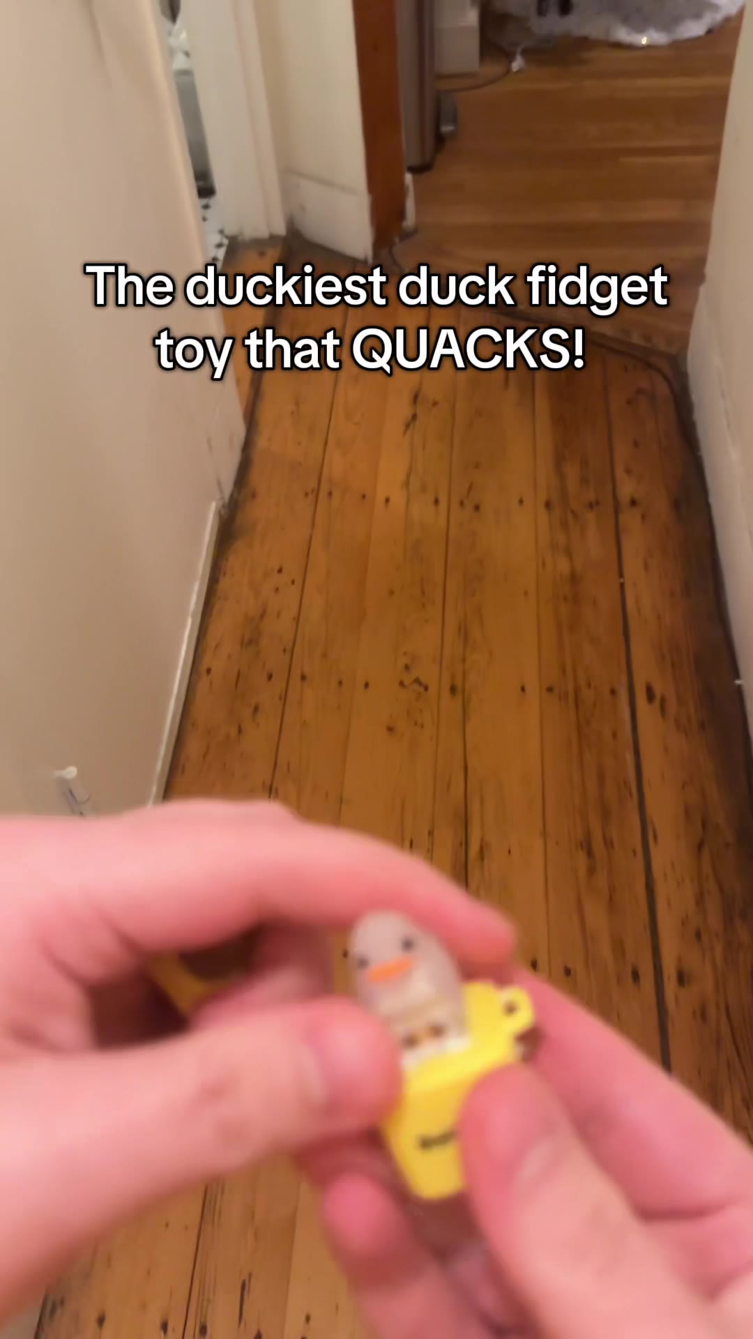 Fidget Toy that QUACKS?!