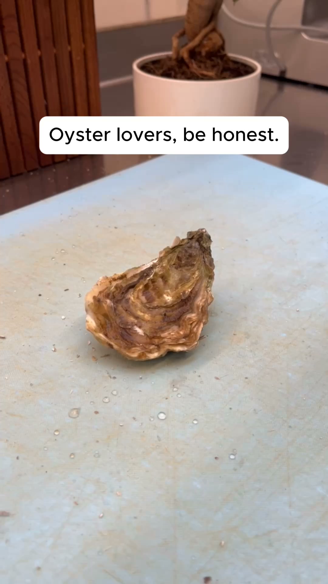 Shuck without the danger