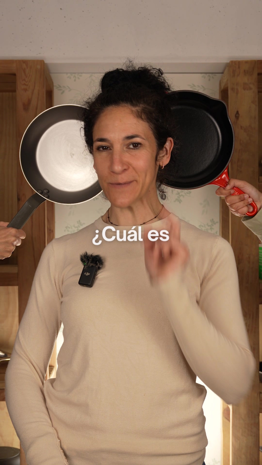 ¿Qué sartén es la mejor para ti?