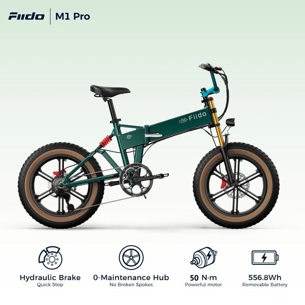 Fiido M1 Pro only €999