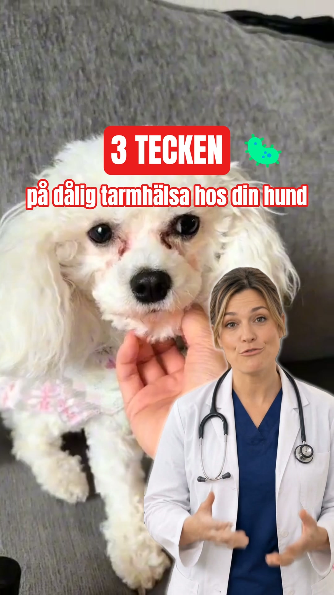 ApotekHunden Probiotika