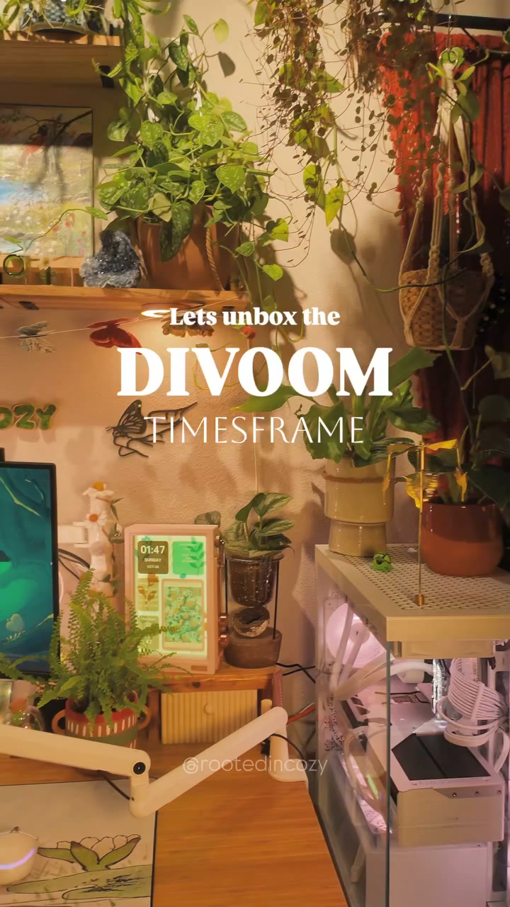 Divoom International